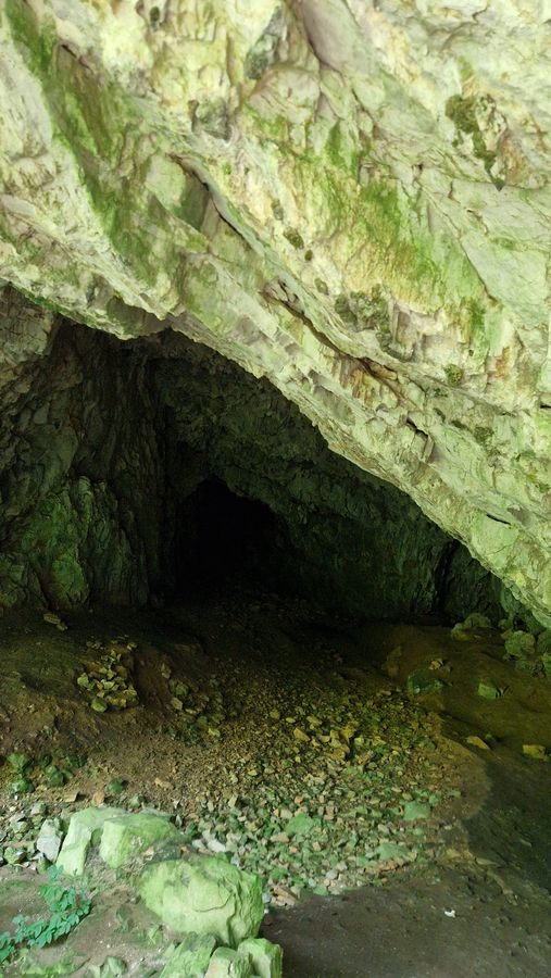 Rivčja jama notranjost 01