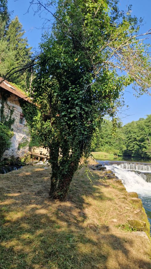 Osredek, pogled gor 01