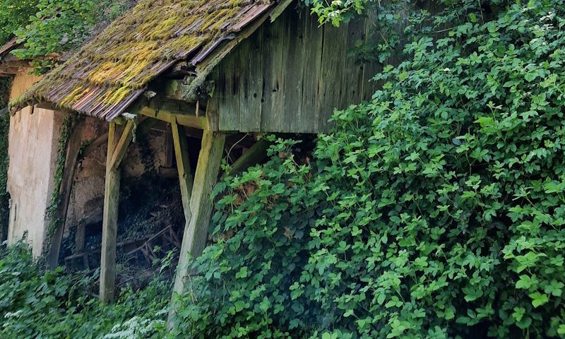 Kozolec / Hayrack
