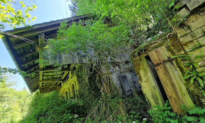 Skedenj / Barn